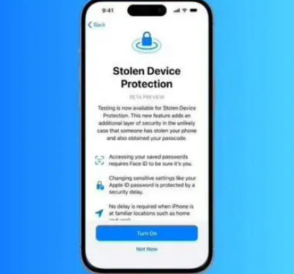 望花苹果授权维修店分享被盗设备保护功能开启方法 