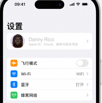 望花appleID维修服务iPhone设置中Apple ID显示为灰色无法使用 