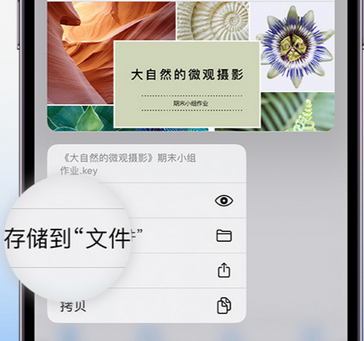 望花apple维修中心分享iPhone文件应用中存储和找到下载文件