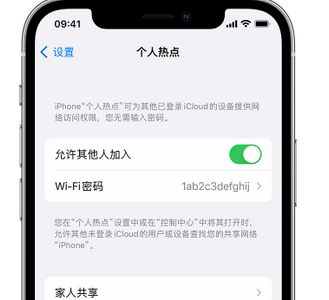 望花apple服务站点分享iPhone上个人热点丢失了怎么办 