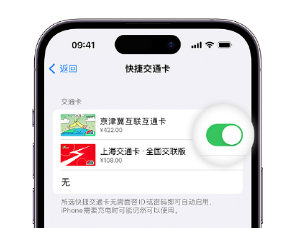 望花apple维修点分享iPhone上更换Apple Pay快捷交通卡手绘卡面 