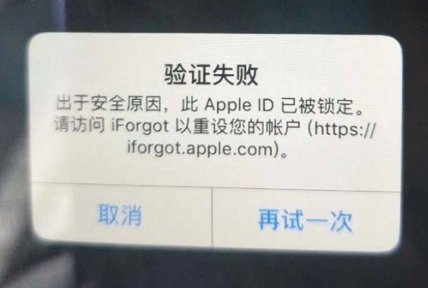 望花iPhone维修分享iPhone上正常登录或使用AppleID怎么办 