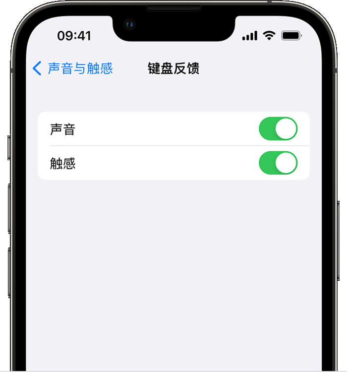 望花苹果14维修店分享如何在 iPhone 14 机型中使用触感键盘 