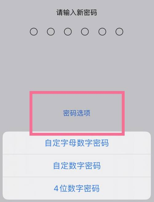 望花苹果14维修分享iPhone 14plus设置密码的方法 