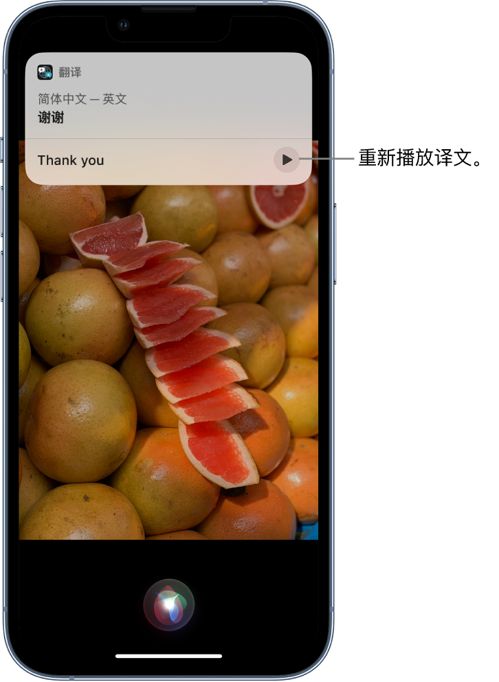 望花苹果14维修分享 iPhone 14 机型中使用 Siri：了解 Siri 能帮你做什么 