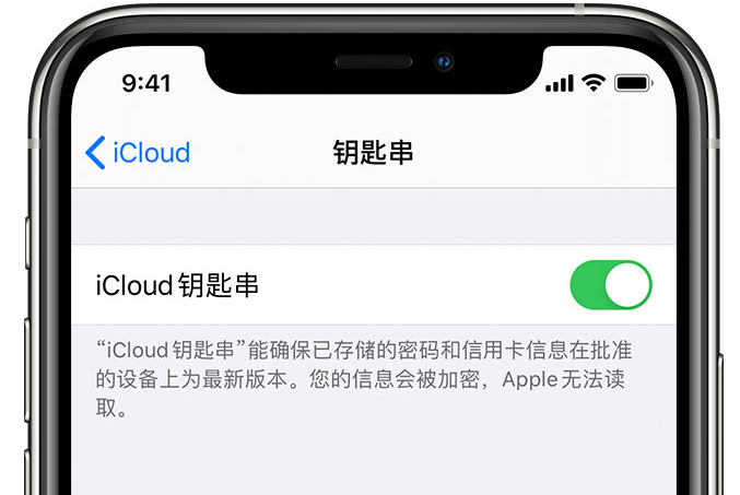 望花苹果手机维修分享在 iPhone 上开启 iCloud 钥匙串之后会储存哪些信息 