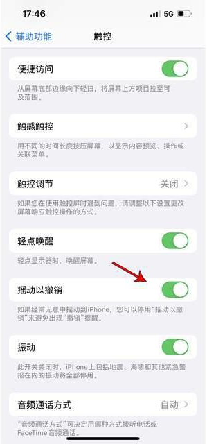 望花苹果手机维修分享iPhone手机如何设置摇一摇删除文字 