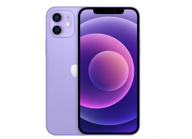 望花苹果手机维修分享现阶段要不要入手紫色版iPhone12 