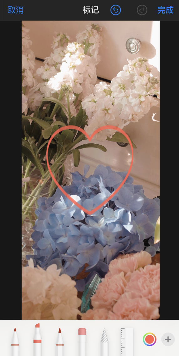 望花苹果手机维修分享iPhone 12 如何在照片上涂鸦 