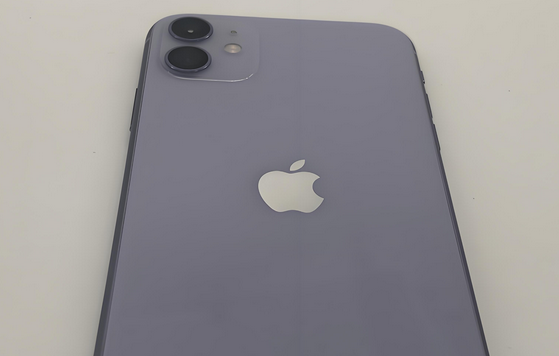 望花苹果11系统维修分享iPhone11手机系统崩溃无法开机如何解决 